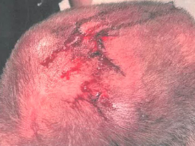 Other image for Jailed for horrifying attack on police officer